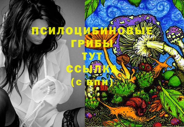 MDMA Аркадак