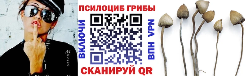 Галлюциногенные грибы ЛСД  KRAKEN tor  Уржум 